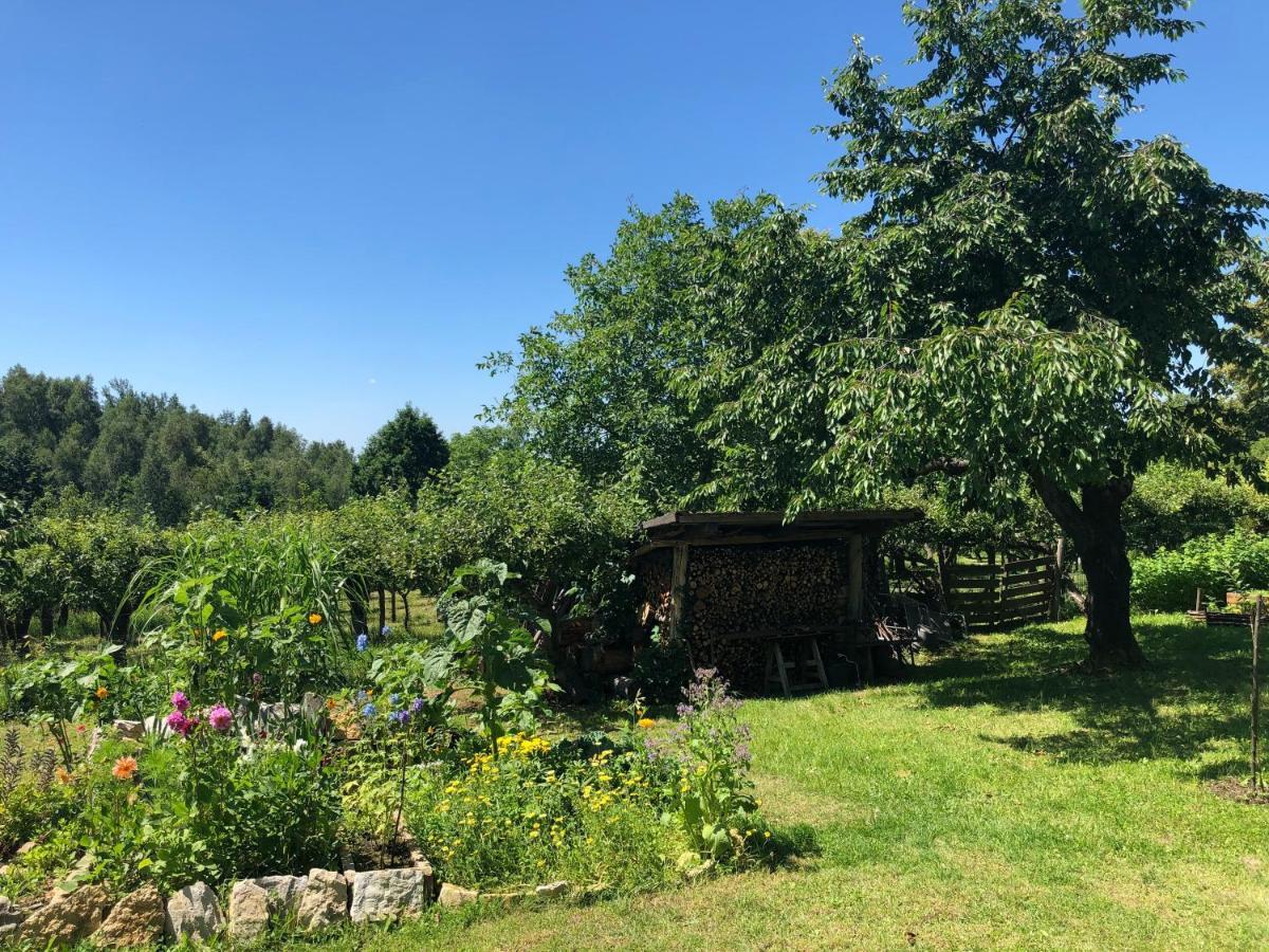 Czytelnia W Sadzie Villa Krzykawka Exteriör bild