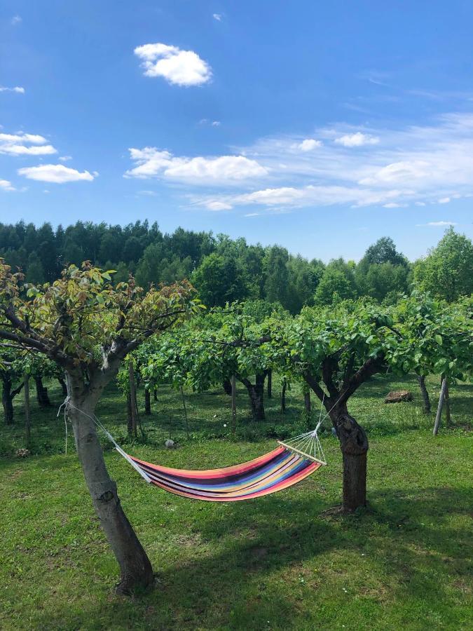 Czytelnia W Sadzie Villa Krzykawka Exteriör bild