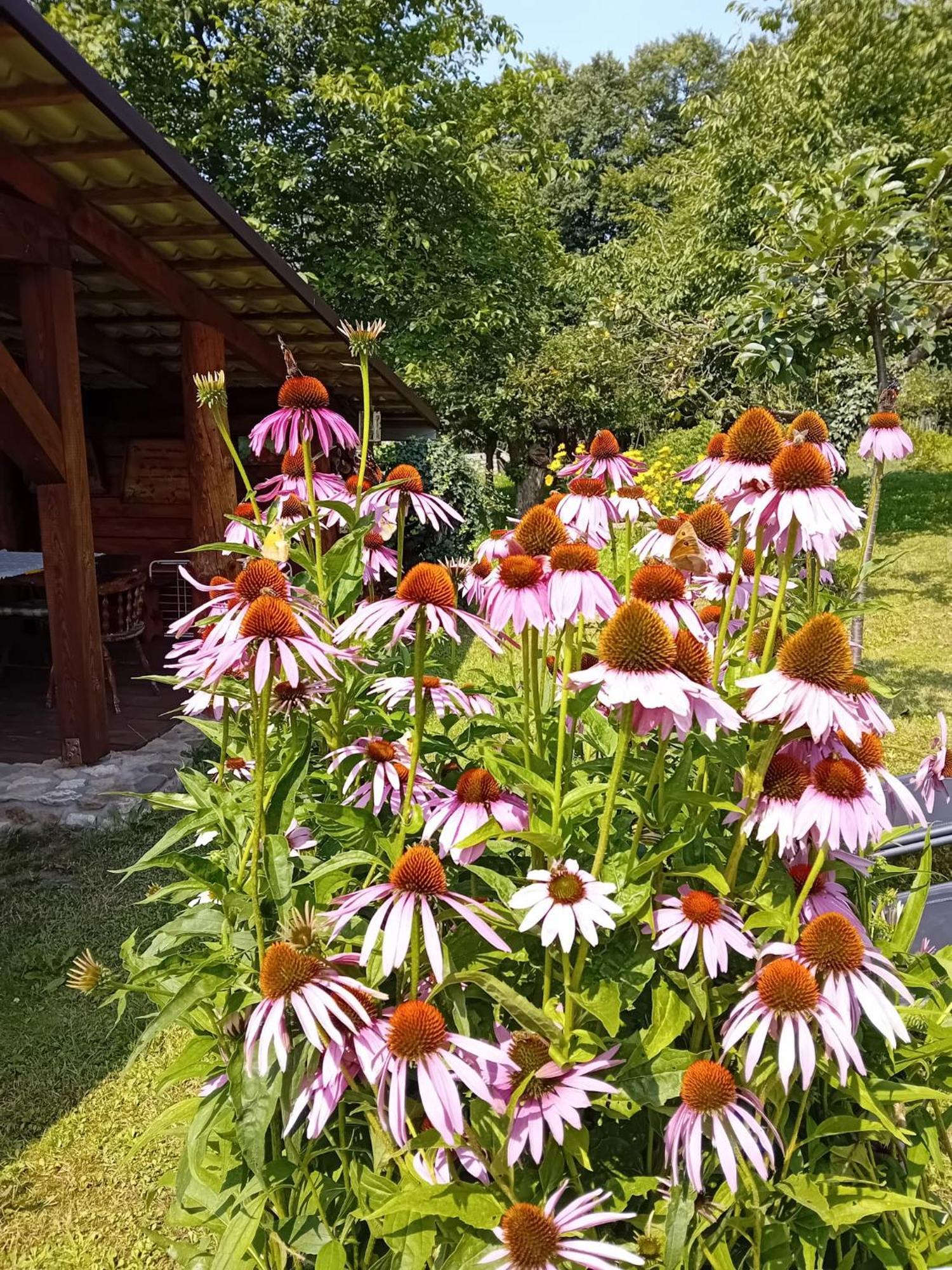 Czytelnia W Sadzie Villa Krzykawka Exteriör bild